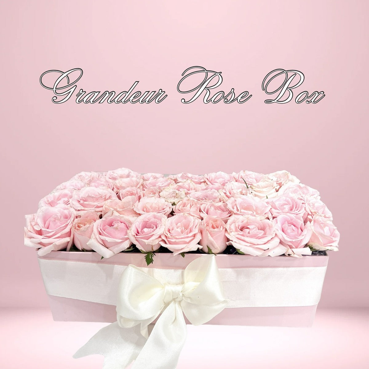 Grandeur Rose Box