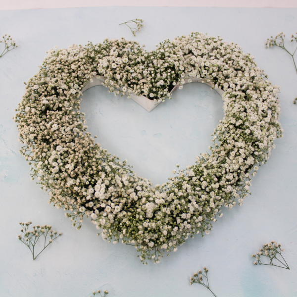 The gypsophila- Gypsy-flower-heart